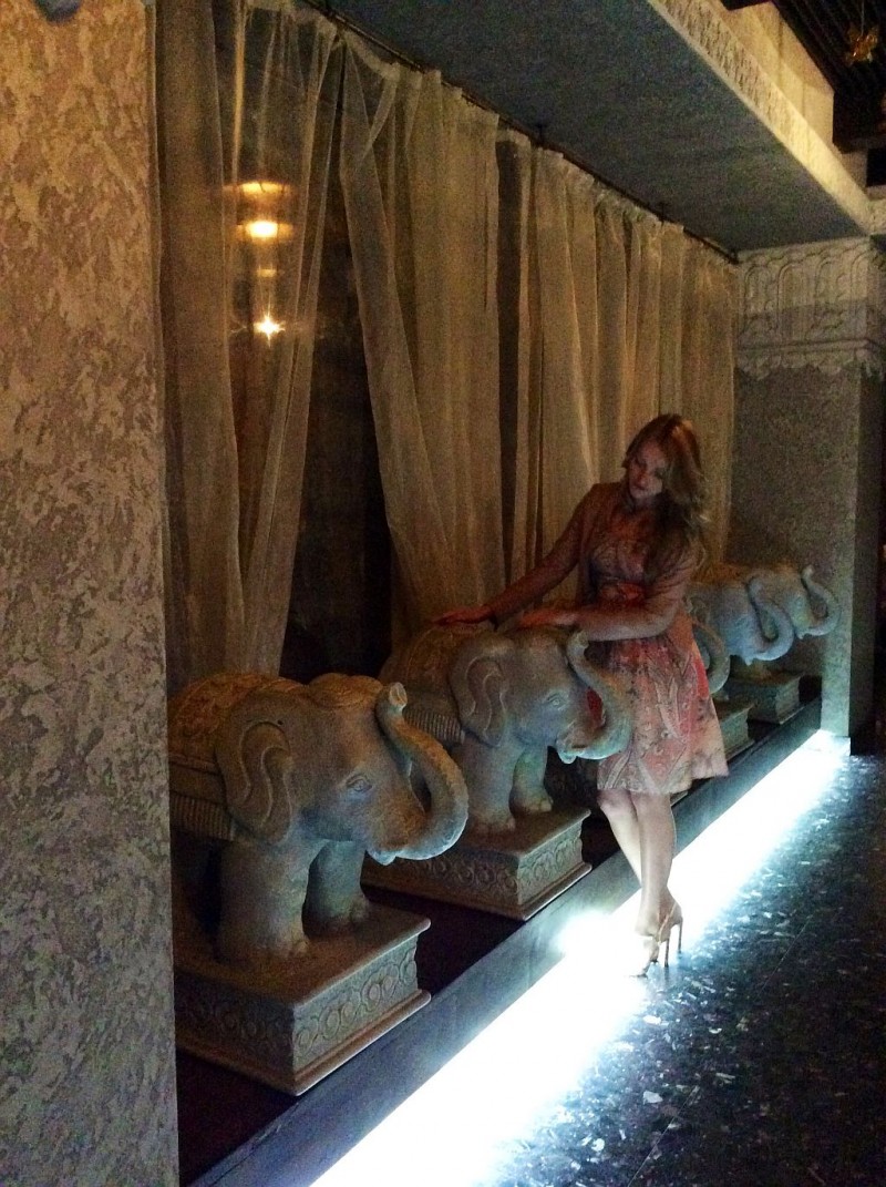 elephant