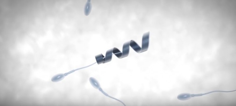 SpermBot1