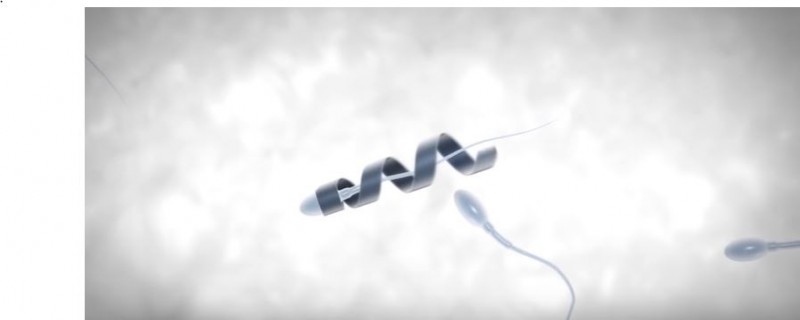 SpermBot2